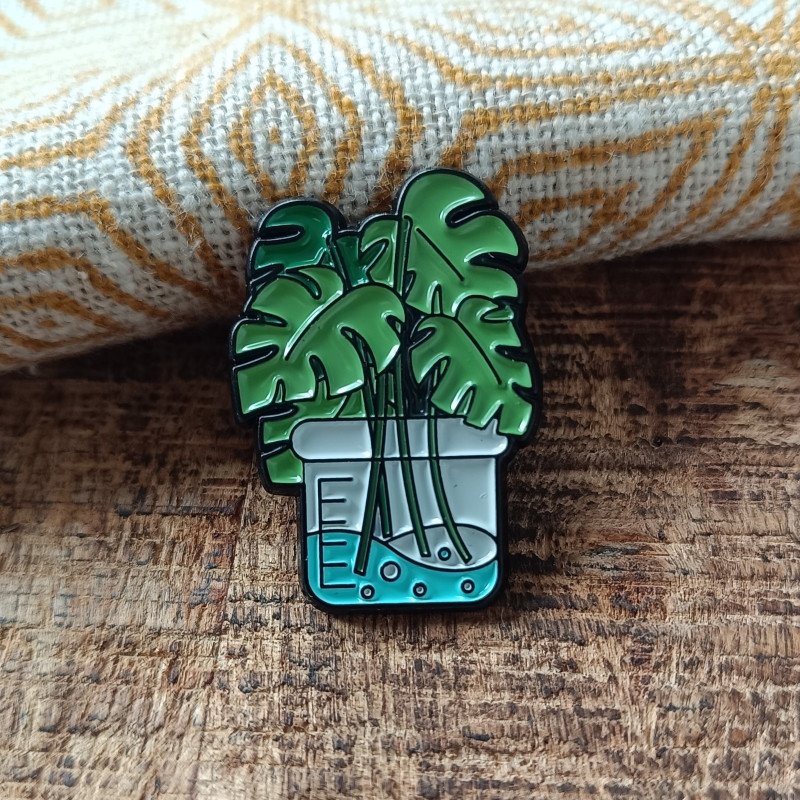 Monstera Deliciosa Monstera Deliciosa