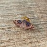 papillon aurora