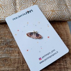 papillon aurora avec carte